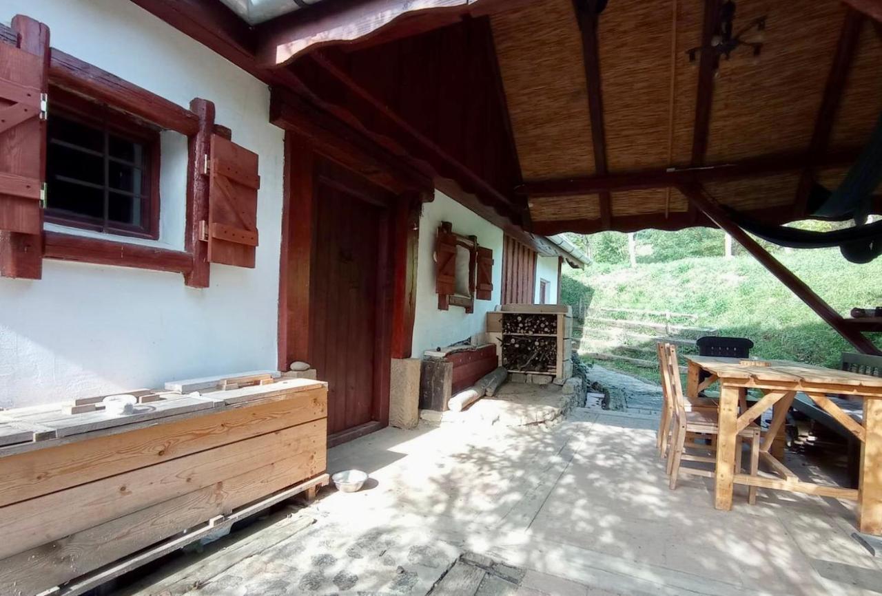 Nature Apartment